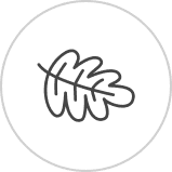 상세 이미지 4
