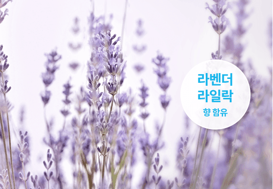 상세 이미지 10
