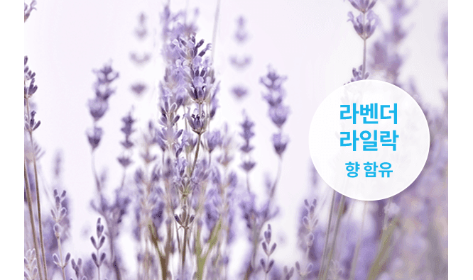 상세 이미지 11