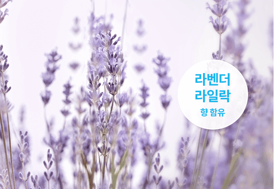 상세 이미지 15