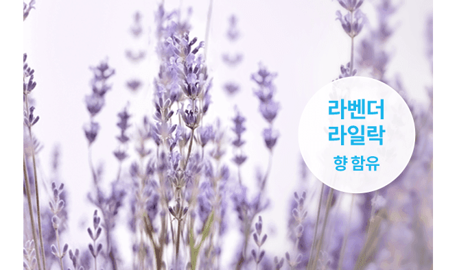 상세 이미지 17